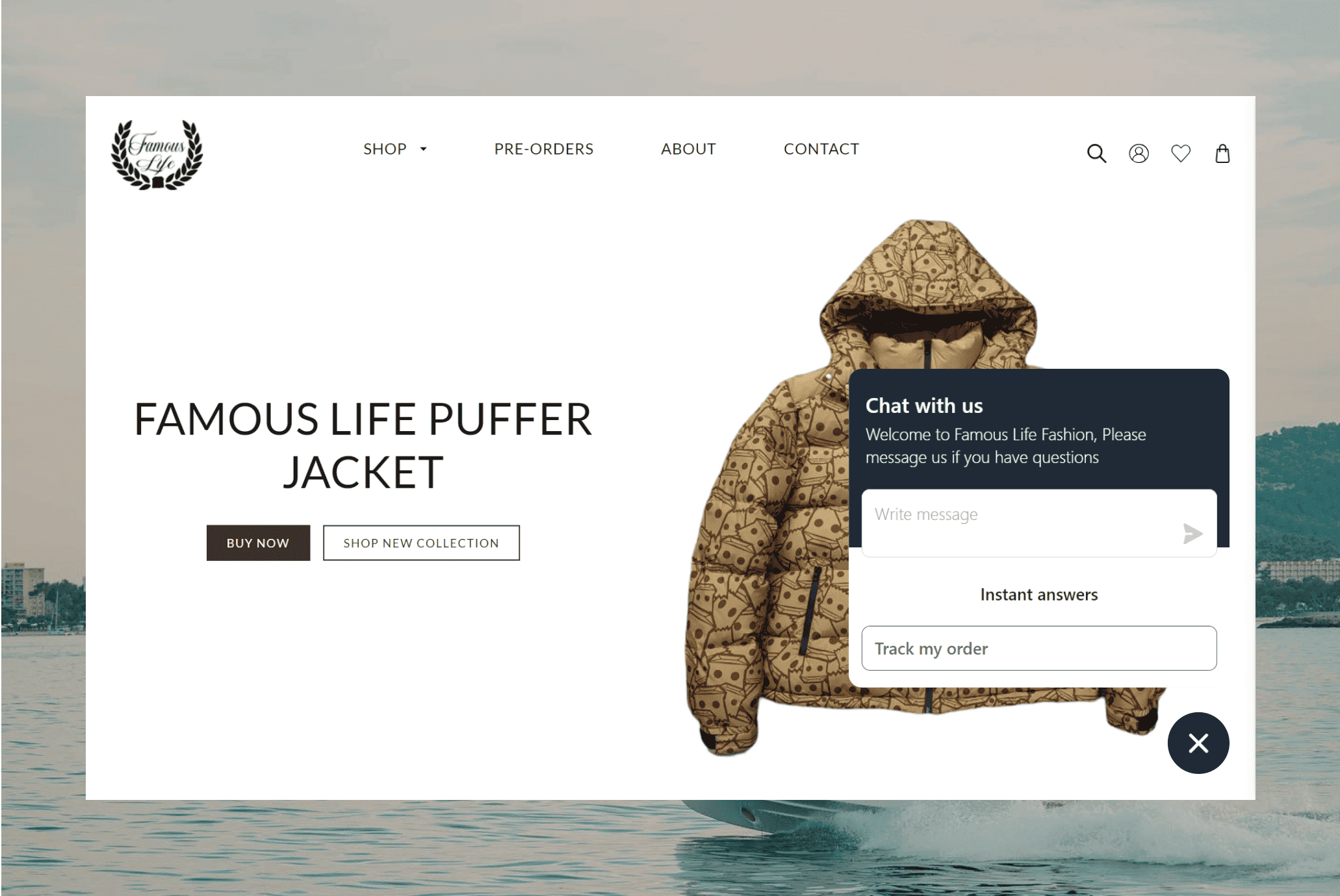 Live Chat Support-Shopify Development-Famous Life