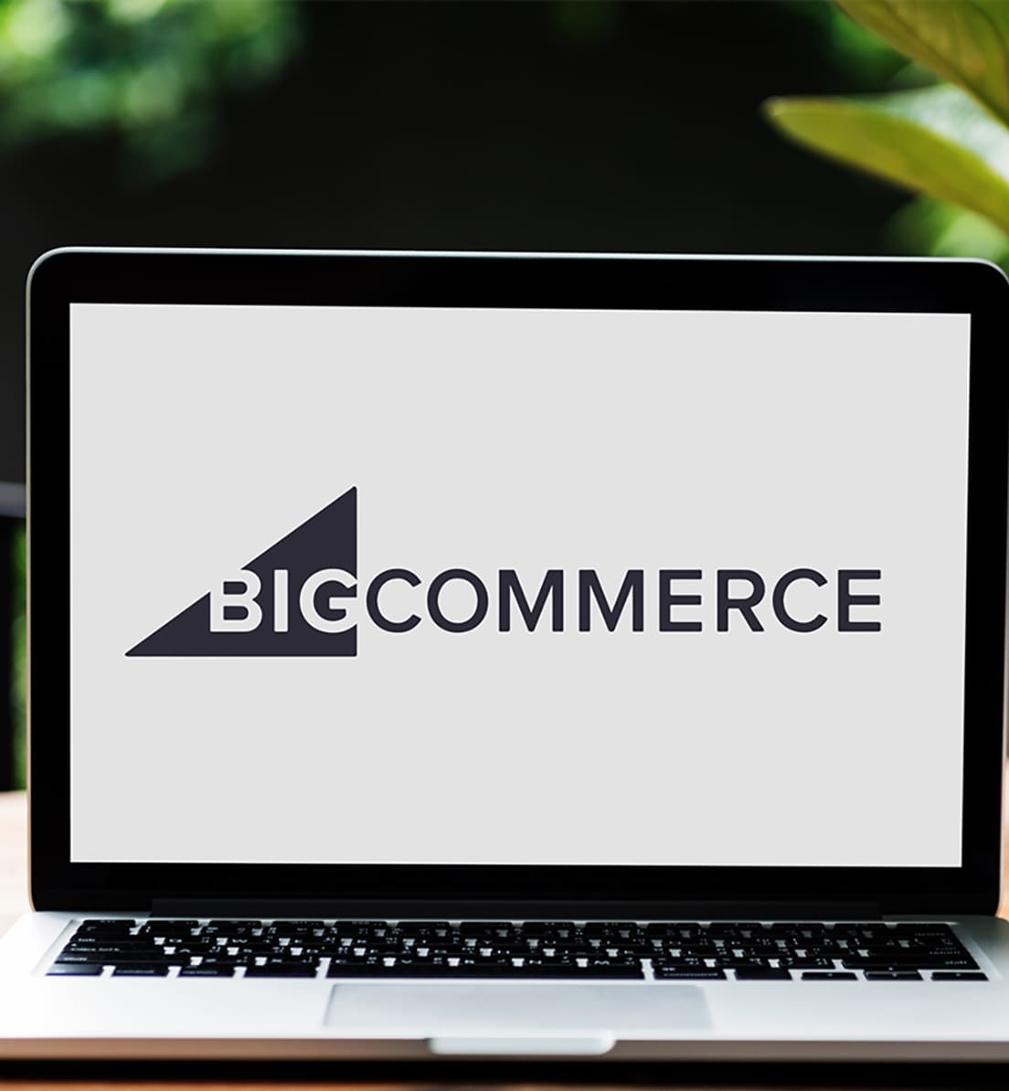 7 Advantages of BigCommerce for B2B eCommerce Businesses