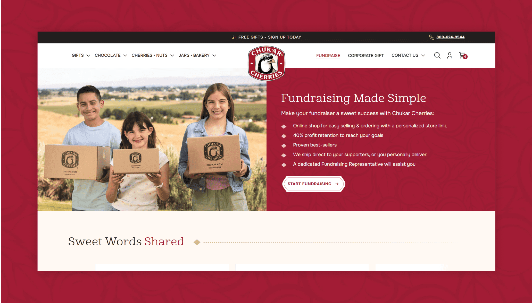 Fundraising Portal