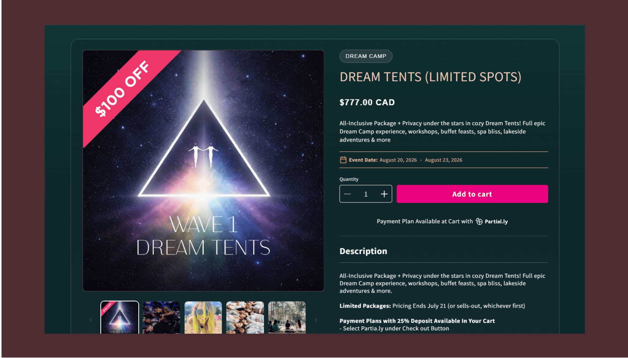 Techtic X Dream Camp-Transparent-fees
